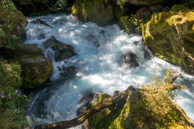 Yeni Zelanda güzel manzara