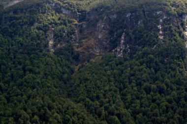 Yeni Zelanda güzel manzara