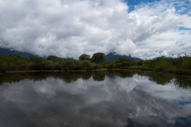 Yeni Zelanda güzel manzara