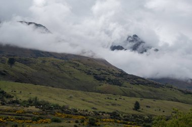 Yeni Zelanda güzel manzara