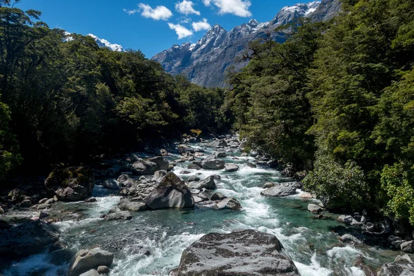 在新西兰的美丽风景 — 图库照片