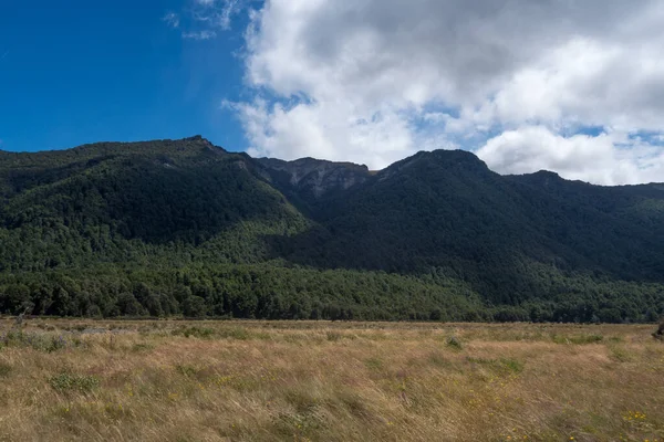 Yeni Zelanda Güzel Manzara — Stok fotoğraf
