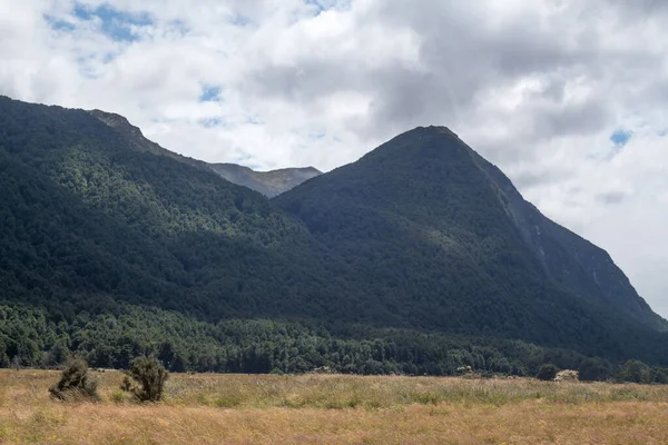 Красивий Ландшафт Новій Зеландії — стокове фото
