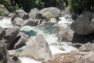 Yosemite Ulusal Park Vadisi Yaz Manzarası Tünel Manzarası