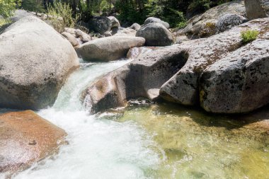 Yosemite Ulusal Park Vadisi Yaz Manzarası Tünel Manzarası