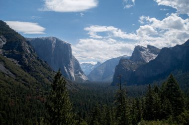 Yosemite Ulusal Park Vadisi Yaz Manzarası Tünel Manzarası