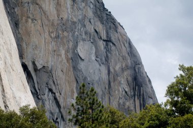 Yosemite Ulusal Park Vadisi Yaz Manzarası Tünel Manzarası