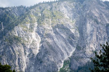 Yosemite Ulusal Park Vadisi Yaz Manzarası Tünel Manzarası
