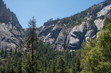 Yosemite Ulusal Park Vadisi Yaz Manzarası Tünel Manzarası