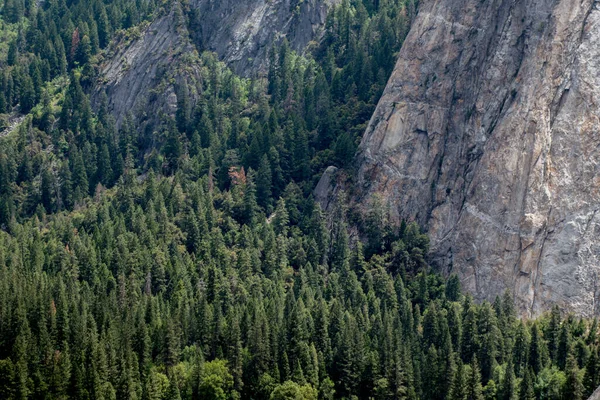 Yosemite National Park Valley Summer Landscape Tunnel View — стокове фото