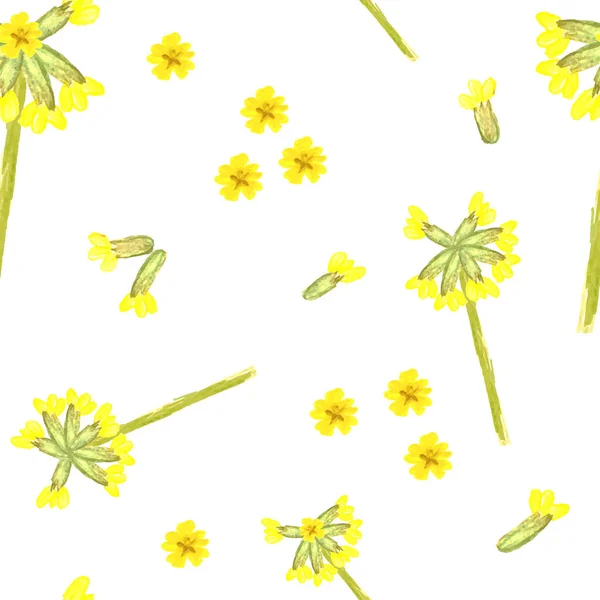 Spring floral seamless pattern with cowslip - Stok Vektor