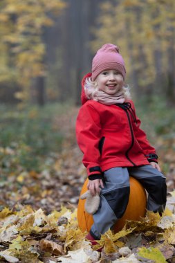 Sevimli küçük kız sarışın kız sonbahar ormanında yürüyor. Dikey