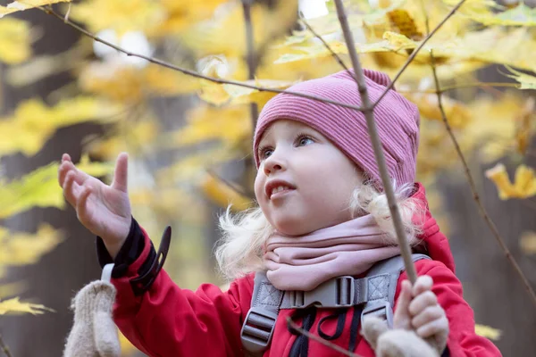 Enfant mignon petite fille cheveux blonds marche forêt d'automne. — Photo