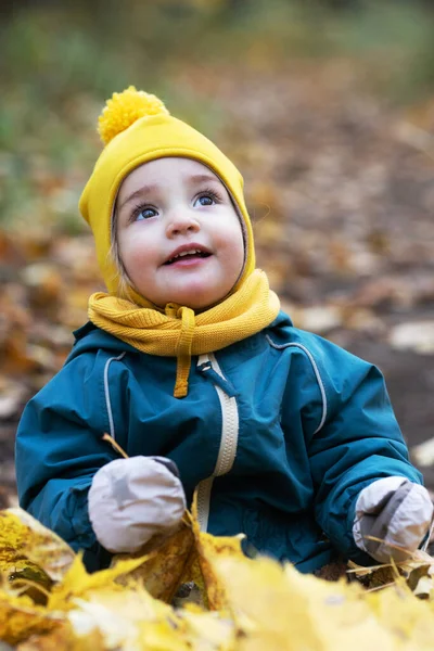 Petite fille s'amusant forêt d'automne. Enfant assis feuilles jaunes — Photo
