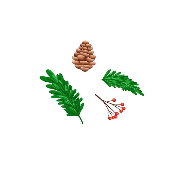 Jogo de cones marrons um ramo de abeto verde e um ramo de rowan vermelho — Fotografia de Stock