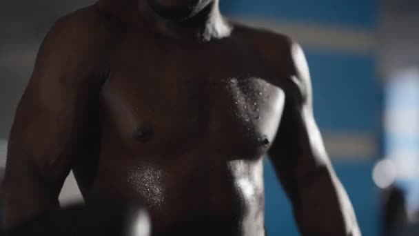 Die Live-Kamera läuft den schwitzenden Oberkörper eines motivierten afroamerikanischen Muskelmannes runter und rauf, der drinnen Hanteln hebt. Konzentrierter Sportler beim Training im Fitnessstudio. Gewichtheben und Bodybuilding. — Stockvideo