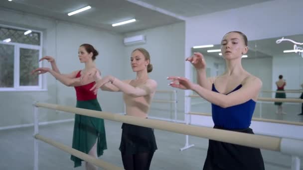 Slim elegante kvinner flytter hender på huk ved å danse barre i studio innendørs. Tre konsentrerte hvite ballerinaer øver plie i første posisjon. Kunstøvingskonsept. – stockvideo