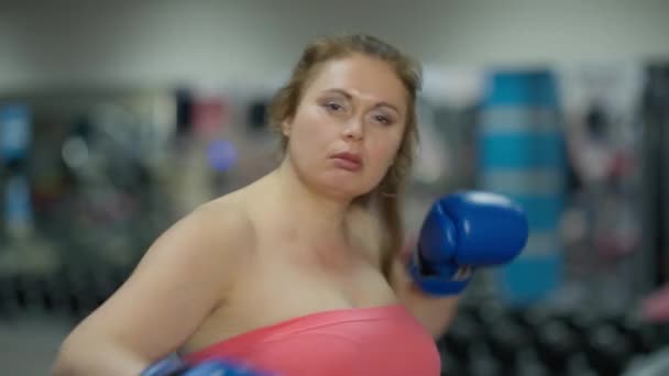 Portrait d'une femme en surpoids motivée persistante boxe ombre regardant la caméra. Vue de face de caucasienne plus-taille dame en gants de boxe d'entraînement se vantant de poser dans la salle de gym à l'intérieur. — Video