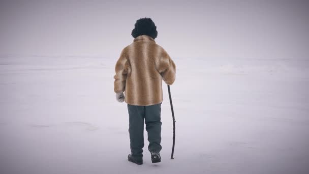 Visszapillantás öregember bottal séta hófehér sivatagban lassított felvételen. Egy széleskörű, magabiztos bennszülött fickó sétál az északi jégen a szabadban. A természet életmódja és szépsége. — Stock videók