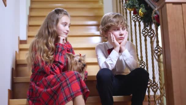 Duas crianças tristes sentadas nas escadas na véspera de Natal com o cão percebendo algo apontando para longe esfregando as mãos sorrindo. Retrato de menino e menina caucasiano animado com animal de estimação em casa dentro de casa no Ano Novo. — Vídeo de Stock