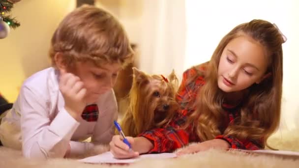 Linda irmãzinha ajudando irmão bonito escrevendo carta para o Papai Noel na véspera de Ano Novo. Feliz relaxado crianças caucasianas deitado em tapete macio com cão falando. Conceito de tradições natalinas. — Vídeo de Stock