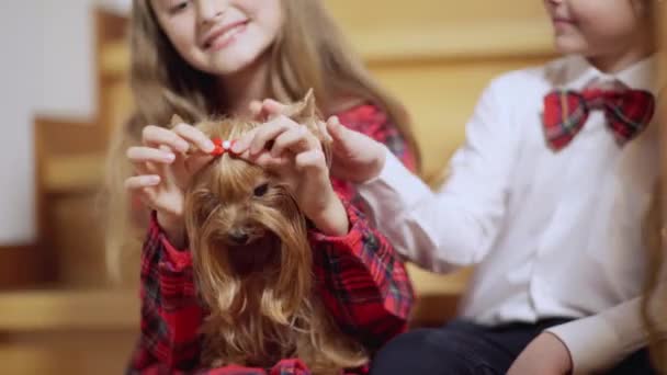 Close-up lindo marrón Yorkshire Terrier con niños irreconocibles sonriendo acariciando pelo de perro hablando. Poco caucásico hermano y hermana disfrutando de ocio con mascota en casa sentado en las escaleras. — Vídeos de Stock