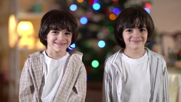 Два щасливі брати-близнюки з Близького Сходу дивляться на камеру, яка посміхається з декорованим різдвяним деревом на задньому плані. Портрет чарівних гарненьких хлопчиків, які полюють вдома в новорічну ніч. Святкова концепція. — стокове відео