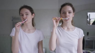 Ön manzara portresi, kendine güvenen beyaz ikiz kız kardeşler dişlerini fırçalarken birbirlerine gülümserken bakıyorlar. İnce, çekici, bin yıllık kadınlar sabahları diş sağlığıyla ilgileniyorlar..