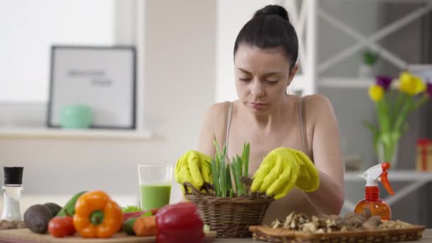 Giovane donna concentrata in guanti prendersi cura di germogli di cipolla seduti a tavola in casa. Ritratto di bella signora caucasica magra fiduciosa che coltiva cibo sano a casa. — Video Stock