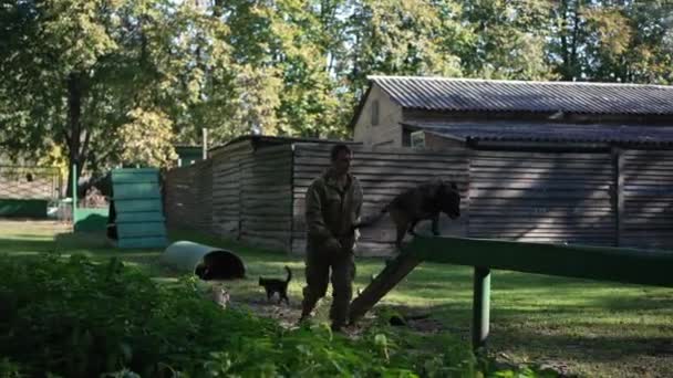 Seguimiento de perro de tiro y hombre caucásico corriendo al aire libre en el césped con barreras en cámara lenta. Centro de entrenamiento de cinnólogos profesionales concentrados para perros animales en un día soleado. — Vídeo de stock