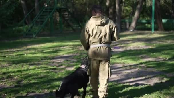 Tracking shot Kaukasische man en Duitse herder wandelen op zonnige dag buiten met professionele cynoloog draaien snel. Dog volgt de beweging van een deskundige trainer. Gehoorzaamheidsopleiding. — Stockvideo