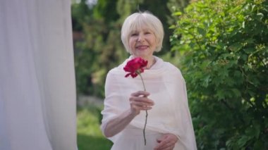 Happy proud senior bride stretching red flower smiling looking at camera. Portrait of charming Caucasian woman with grey hair posing in slow motion getting married outdoors. Aging and happiness.