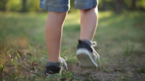 Live camera follows little male Caucasian legs walking in sunshine in spring summer park. Unrecognizable child strolling in sunrays outdoors enjoying weekend leisure. Lifestyle and relaxation. — Vídeo de Stock