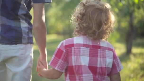 春の夏の公園で、兄の手を握っている赤毛の巻き毛の少年。バックビュー幸せな白人の子供が週末を楽しんで太陽の光の中で兄弟と散歩. — ストック動画