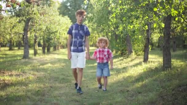 Wide shot front view relaxed positive teenage and little brothers walking in sunshine in summer park talking. Dolly shot carefree Caucasian boys chatting strolling outdoors in sunbeam. Family leisure. — Stockvideo