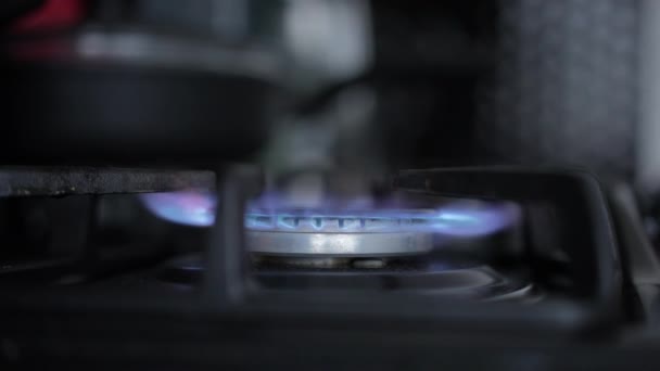 Close-up gas burner turning on with blue flame. Ignition of kitchen stove nozzle indoors at home or in restaurant. Concept of cooking and culinary. — Stok video