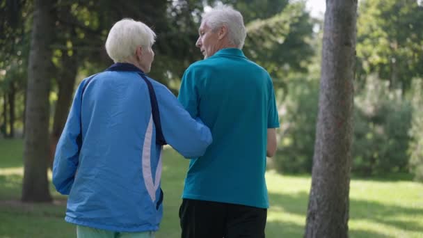 Tillbaka visa glada senior par promenader i slow motion arm i arm talar. Live kamera följer kärleksfulla kaukasiska pensionärer promenader i vår sommarpark åtnjuter pensionering fritid. Kärlek och livsstil. — Stockvideo