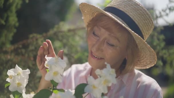 Ικανοποιημένη ηλικιωμένη ανθοπώλης θαυμάζοντας την ομορφιά του λευκού άνθους στο κλαδί θάμνου στο φως του ήλιου. Πορτρέτο της θετικής αυτοπεποίθηση Καυκάσια γυναίκα στο χαμόγελο στον ήλιο σε εξωτερικούς χώρους κήπο. Αργή κίνηση. — Αρχείο Βίντεο
