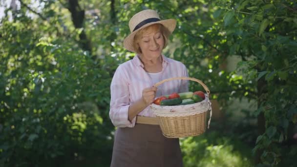 Porträtt av positiv senior kvinnlig trädgårdsmästare poserar med grönsakskorg utomhus på solig sommar höstdag. Glad vit kvinna tittar på kameran leende skryta skörd utomhus. Långsamma rörelser. — Stockvideo