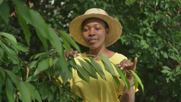 Vorderseite Porträt einer glücklichen afroamerikanischen jungen Frau, die in der Sonne im grünen sommerlichen Frühlingsgarten steht und in die Kamera lächelt. Positiv selbstbewusste Dame posiert im Freien in Zeitlupe. — Stockvideo