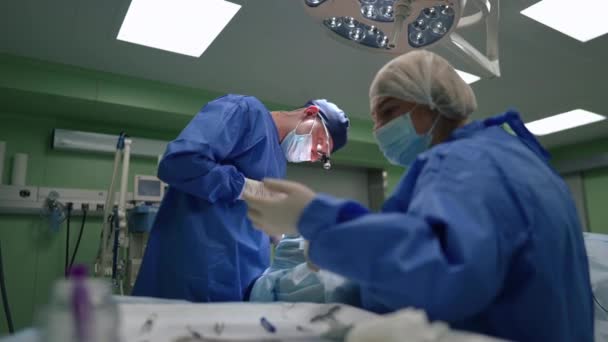 Soustředěný lékař řezání stehů s operačními nůžkami jako rozmazané zdravotní sestra připravuje stříkačku s anestézií ve zpomaleném filmu. Běloch muž a žena operující pacienta na chirurgickém sále v nemocnici. — Stock video