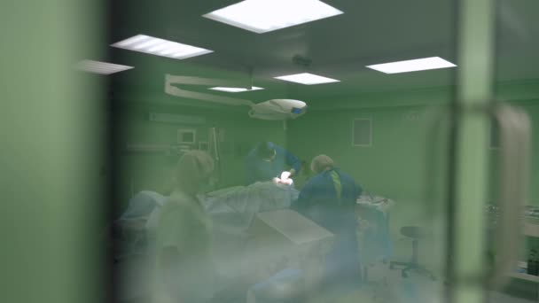 Střelba za průhlednými dveřmi chirurgického sálu profesionálního lékaře a asistentů při operaci. Široký záběr bělocha a ženy operující pacienta v nemocnici. Zpomalený pohyb. — Stock video