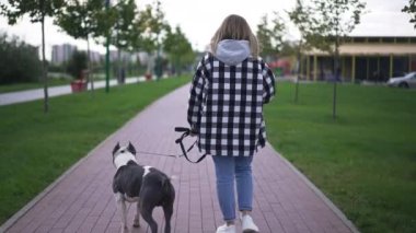 Arka manzaralı, köpekli genç bir kadın, açık havada sokakta yürüyor. Kendine güvenen beyaz kadın, safkan Amerikan Staffordshire Teriyeri ile kasabada ağır çekimde geziniyor. Geniş açı.