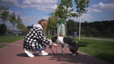 Heyecanlı köpek ayaklarını kesiyor. Açık havada gülen genç bir kadın. Beyaz kadın ev sahibi ve erkek evcil hayvanın güneş ışığında eğlendiğinin yan görüntüsü. Yavaş çekim.