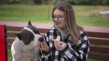 Gözlüklü gülümseyen kadın şehir parkında bankta oturan meraklı köpekle kruvasan paylaşıyor. Haftasonu dışarıda dinlenen, kendine güvenen beyaz bir ev sahibi ve evcil hayvan. Yavaş çekim.