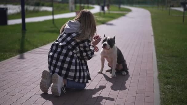 На задньому плані молода жінка кидає м'яч за собаку в повільному русі, плескаючи, сидячи на тротуарі під сонцем. Позитивний власник Кавказу любить розважатися з домашнім улюбленцем.. — стокове відео