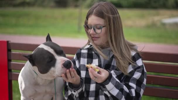 Vooraanzicht glimlachende vrouw in bril delen croissant met curios hond zittend op bank in stadspark. Positieve blanke zelfverzekerde eigenaar en huisdier rusten buiten in het weekend. Langzame beweging. — Stockvideo