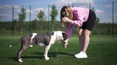 Açık havada siyah ve beyaz köpekleri okşayan bir kadın gibi kahve içen yan görüş köpeği. Kafkasyalı mutlu bir ev sahibinin evcil hayvanla eğlenirken geniş açılı portresi. Yavaş çekim.