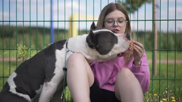 Lächelnde Frau mit Brille füttert Hund mit Croissant und isst leckeres Dessert im Freien. Positive kaukasische charmante Besitzerin mit Haustier sitzt am Maschendrahtzaun und genießt Freizeit. — Stockvideo