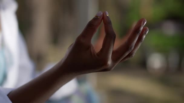 Молода самотня афро-американська рука в йозі поза домом. Непомітна впевнена жінка, що медитує в лотосі, постає в сонячному весняному лісистому лісі. Повільний рух. — стокове відео